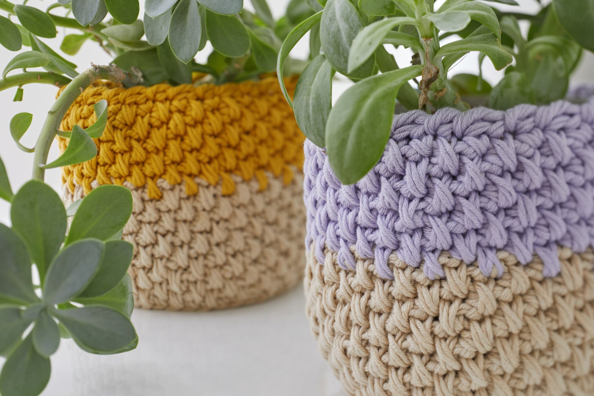 21.06.2022 ARD Buffet Körbchen häkeln